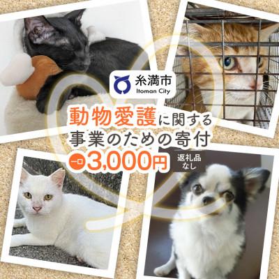 ふるさと納税 糸満市 [返礼品なし]犬・猫等の不妊去勢手術費用のご支援をお願いします。(1口:3,000円)