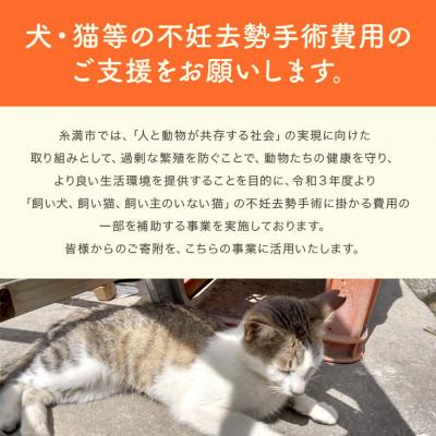 ふるさと納税 糸満市 【返礼品なし】犬・猫等の不妊去勢手術費用のご支援をお願いします。(1口:3,000円) |  | 02