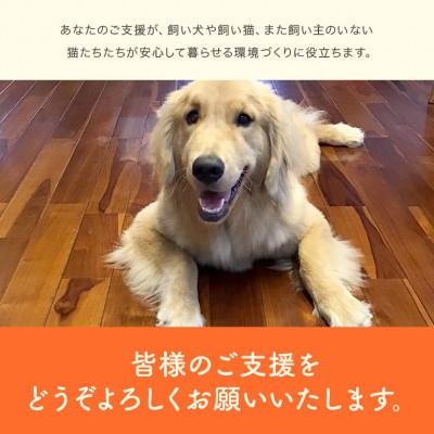 ふるさと納税 糸満市 【返礼品なし】犬・猫等の不妊去勢手術費用のご支援をお願いします。(1口:3,000円) |  | 03
