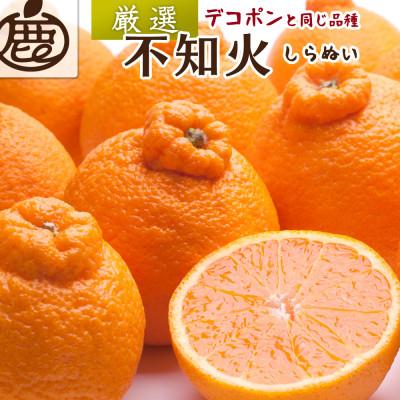 ふるさと納税 湯浅町 厳選 不知火1kg+250g(傷み補償分)[デコポンと同品種・人気の春みかん]