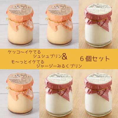 ふるさと納税 大村市 ケッコーイケてるシュシュプリンとモーっとイケてるジャージーみるくプリン6個セット
