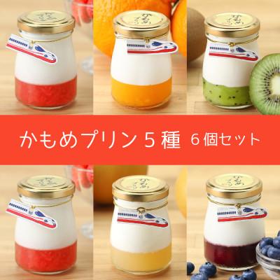 ふるさと納税 大村市 かもめプリン5種6個セット