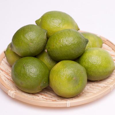 ふるさと納税 湯浅町 レモン1kg+250g(傷み補償分)【和歌山有田産】【防腐剤・WAX不使用、安心の国産レモン】 |  | 01
