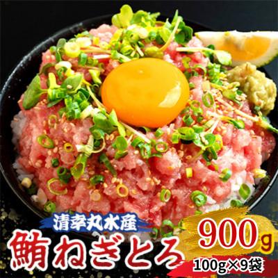 ふるさと納税 君津市 清幸丸水産 鮪ねぎとろ900g(100g×9袋) ★メディアでも紹介