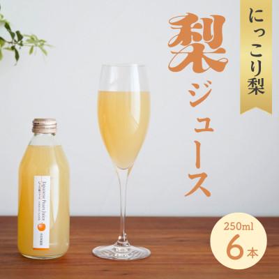 ふるさと納税 芳賀町 ストレート果汁100%!にっこり梨ジュース(250ml×6本セット)◆ミニボトル◆1箱