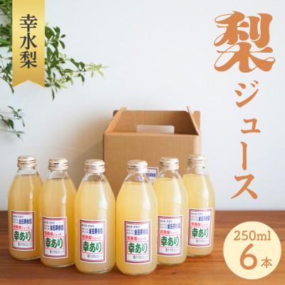 ふるさと納税 芳賀町 ストレート果汁100%!幸水梨ジュース「幸あり」250ml×6本セット◆ミニボトル◆1箱