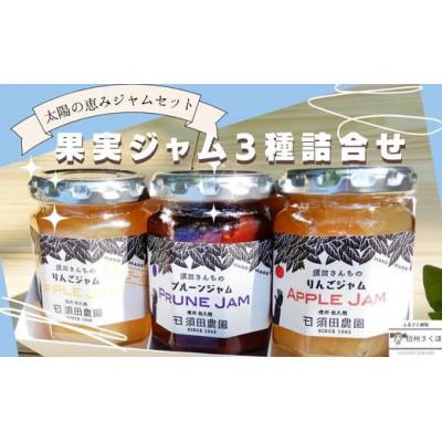 ふるさと納税 佐久穂町 果実ジャム3種詰合せ[SU-107]