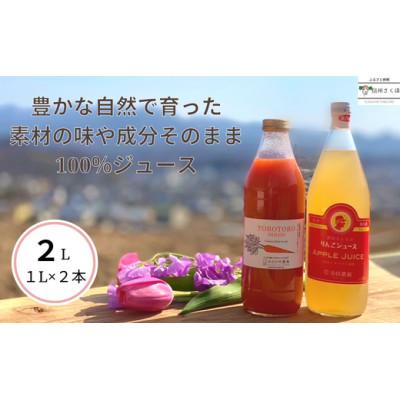 ふるさと納税 佐久穂町 信州産 果汁100%りんごジュース&amp;「食べる」まるごと人参ジュースセット 計2本[SU-103]