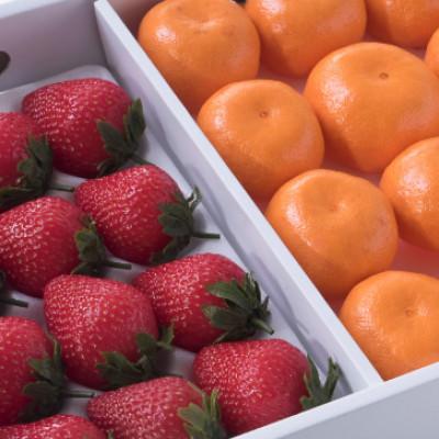 ふるさと納税 多久市 [12月上旬より順次発送]佐賀産いちご(12-15粒)&amp;みかん(12-15玉)(多久市)