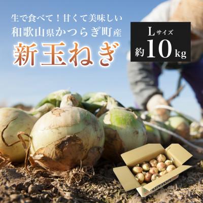 ふるさと納税 かつらぎ町 新玉先行予約! 玉ねぎ和歌山県産 約10kg Lサイズ約25個入り! こだわり農家厳選!