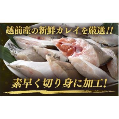 ふるさと納税 越前町 [のし付き][越前海岸・美味直送シリーズ]肉厚!越前産カレイ切り身 計2kg(1kg × 2袋)
