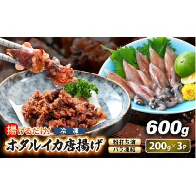 ふるさと納税 越前町 [のし付き]揚げるだけ ! ホタルイカ 唐揚げ 計600g(200g×3P)