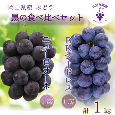 ふるさと納税 津山市 [2026年先行受付]岡山 花笑み農園の『ニューピオーネ&amp;BKシードレス』1kg(2房)PB-1