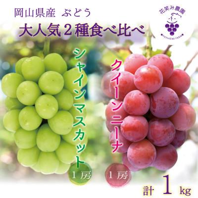 ふるさと納税 津山市 [2026年先行受付]岡山 花笑み農園の『クイーンニーナ&amp;シャインマスカット』1kg(2房)QS-1