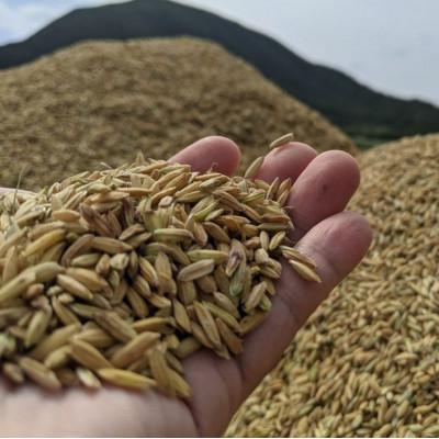 ふるさと納税 伊平屋村 泡盛 てるしの島 25度 720ml |  | 01