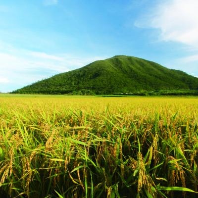 ふるさと納税 伊平屋村 泡盛 てるしの島 25度 720ml |  | 02