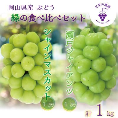 ふるさと納税 津山市 [2026年先行受付]岡山 花笑み農園の『シャインマスカット&amp;瀬戸ジャイアンツ』1kg(2房)GS