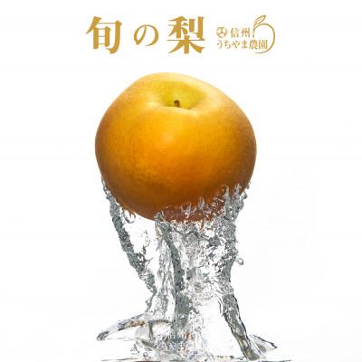 ふるさと納税 長野県 本当に甘い梨!　南水　5Lサイズ×4個入り | 