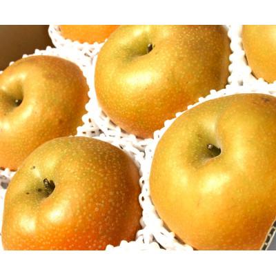 ふるさと納税 長野県 本当に甘い梨!　南水　5Lサイズ×4個入り |  | 02