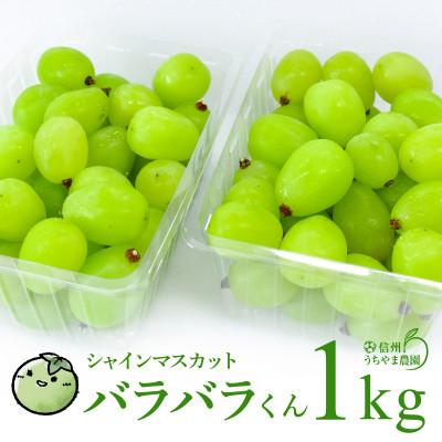 シャインマスカット5kg 詰み落とし訳ありバラ粒【冷蔵発送】2026-01 ふるさと納税 長野県 【2026年11月より発送予定】訳あり品☆冷蔵