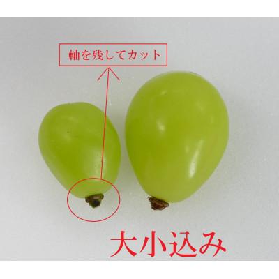 ふるさと納税 長野県 【2026年11月より発送予定】訳あり品☆冷蔵