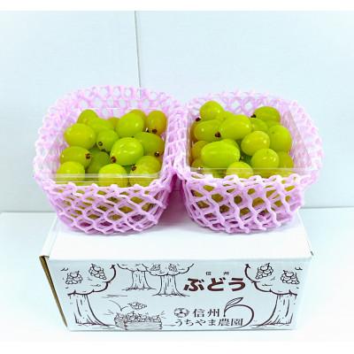 ふるさと納税 長野県 【2026年11月より発送予定】訳あり品☆冷蔵