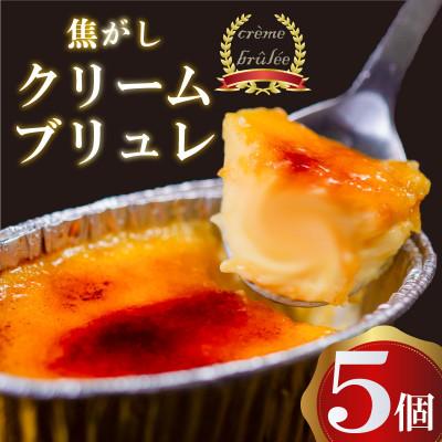 ふるさと納税 須崎市 濃厚焦がしクリームブリュレ 5個 冷凍