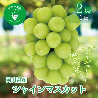 ふるさと納税 津山市 岡山 花笑み農園の 『シャインマスカット』1kg(2