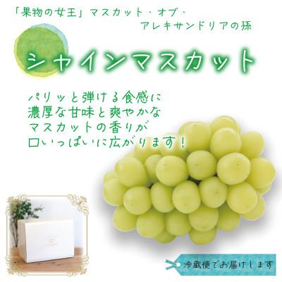 ふるさと納税 津山市 岡山 花笑み農園の 『シャインマスカット』1kg(2