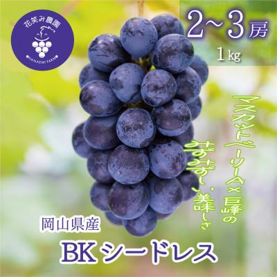 ふるさと納税 津山市 岡山 花笑み農園の『BKシードレス』1kg(2〜3房)