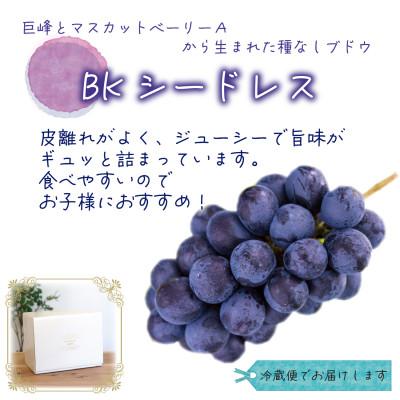 ふるさと納税 津山市 岡山　花笑み農園のブドウ『訳ありBKシードレス』1kg　WB-1_2