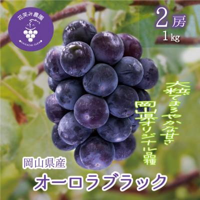 ふるさと納税 津山市 岡山 花笑み農園のブドウ『オーロラブラック』1kg(2房)