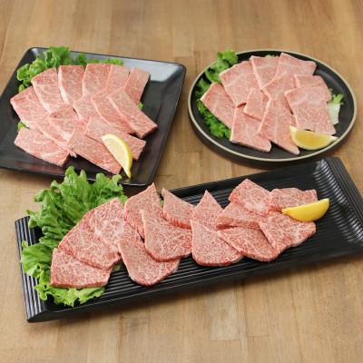 ふるさと納税 大村市 長崎和牛 モモ肉メイン焼肉セット 1kg