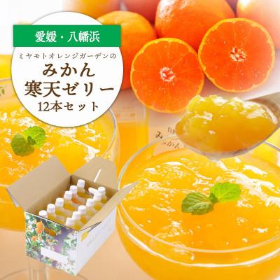 ふるさと納税 八幡浜市 ゲル化剤・pH調整剤不使用!愛媛産 みかん寒天ゼリー 12本セット[D25-220]