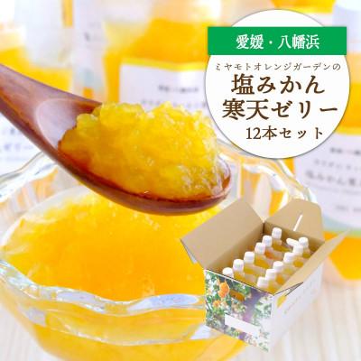 ふるさと納税 八幡浜市 ゲル化剤・pH調整剤不使用!愛媛産 塩みかん寒天ゼリー 12本セット[D25-221]