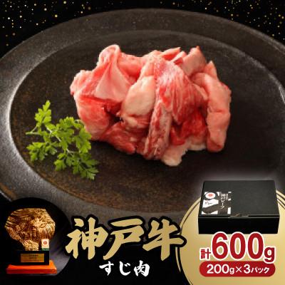 ふるさと納税 豊岡市 12/21入金分まで年内発送!神戸牛すじ肉A(200g×3)