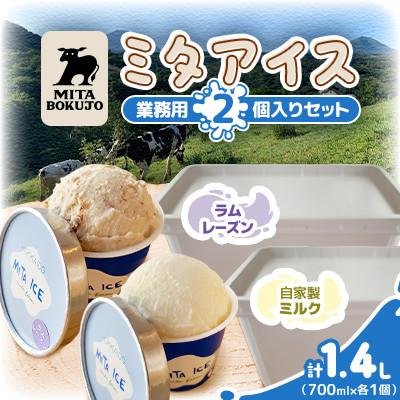 ふるさと納税 共和町 [北海道]三田牧場 ミタアイス業務用2個セット(自家製ミルク 1個+ラムレーズン 1個)計1.4L