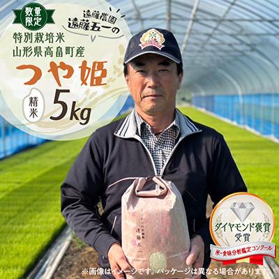 ふるさと納税 高畠町 【数量限定】精米 令和7年 遠藤農園 遠藤五一