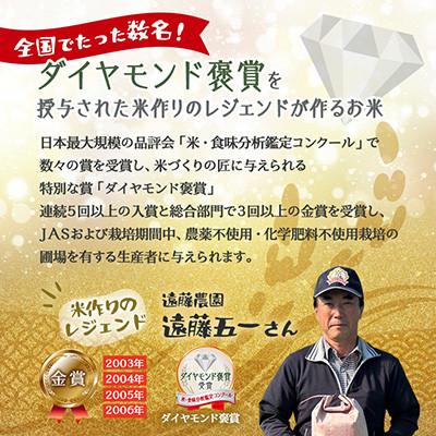 数量限定！ 令和7年度産 精米 約27kg ふるさと納税 高畠町 【数量限定】精米 令和7年 遠藤農園 遠藤五一