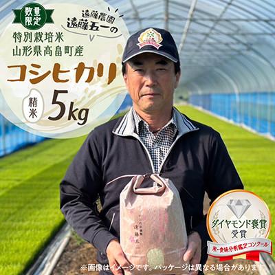 ふるさと納税 高畠町 [数量限定]精米 令和7年 遠藤農園 遠藤五一 特別栽培米 コシヒカリ 5kg