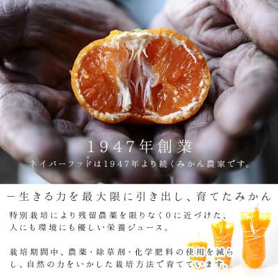 ふるさと納税 宮崎市 まる搾りみかんジュース 500ml×12本(宮崎市) |  | 02