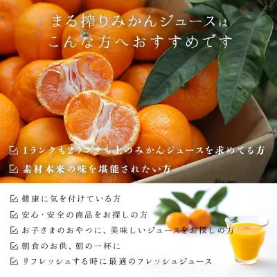 ふるさと納税 宮崎市 まる搾りみかんジュース 500ml×12本(宮崎市) |  | 03