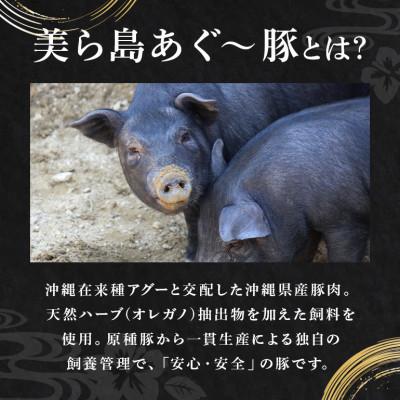 ふるさと納税 糸満市 【沖縄高級ブランド豚】美ら島あぐー 生ハム　合計1.4kg (70g×20パック) |  | 02
