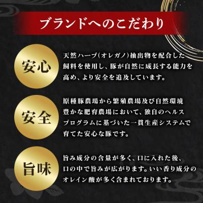 ふるさと納税 糸満市 【沖縄高級ブランド豚】美ら島あぐー 生ハム　合計1.4kg (70g×20パック) |  | 03