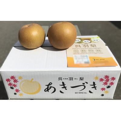ふるさと納税 富山市 あきづき(呉羽梨) 3kg箱