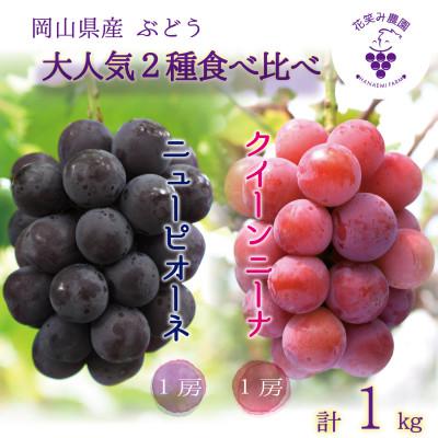 ふるさと納税 津山市 [2026年先行受付]岡山 花笑み農園の『ニューピオーネ&amp;クイーンニーナ』1kg(2房) PQ-1