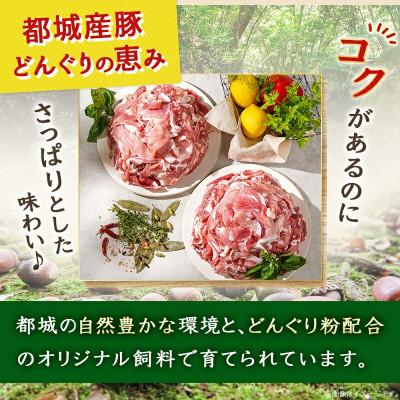 ふるさと納税 都城市 都城産「どんぐりの恵み豚」こま切れ　5.1kg(300g×17パック) |  | 01