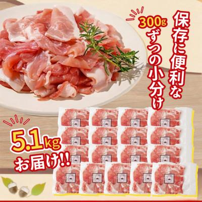 ふるさと納税 都城市 都城産「どんぐりの恵み豚」こま切れ　5.1kg(300g×17パック) |  | 03