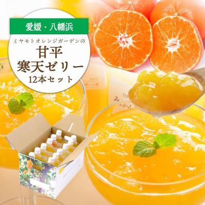 ふるさと納税 八幡浜市 ゲル化剤・pH調整剤不使用!愛媛限定栽培品種 甘平(かんぺい)寒天ゼリー 12本[D25-226]