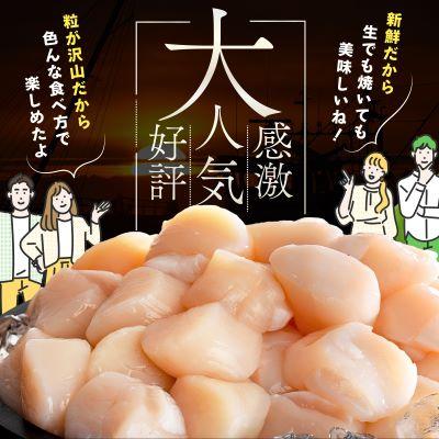 ふるさと納税 別海町 とまらない北海道 ほたて貝柱1.2kg 刺身用 海鮮丼 訳あり小玉 冷凍 帆立 別海町 ふるさと納税 |  | 01